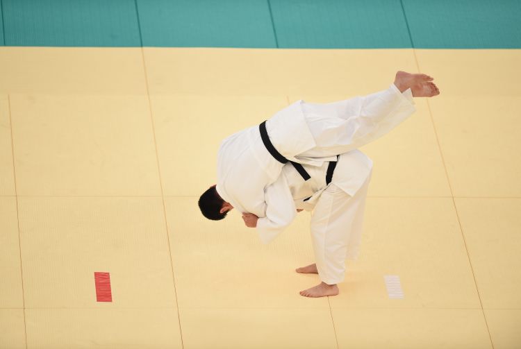 类微